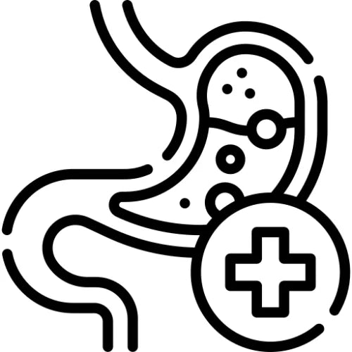 digestion